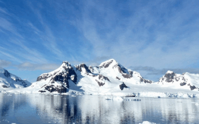 Houd je huid jong met Antarcticine!