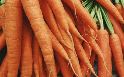 ‘Biologisch’ is het nieuwe ‘natuurlijk’